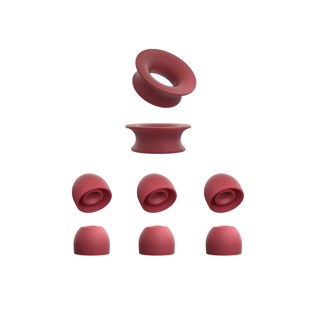 Quiet 1 Ear Tips + Loop Mute