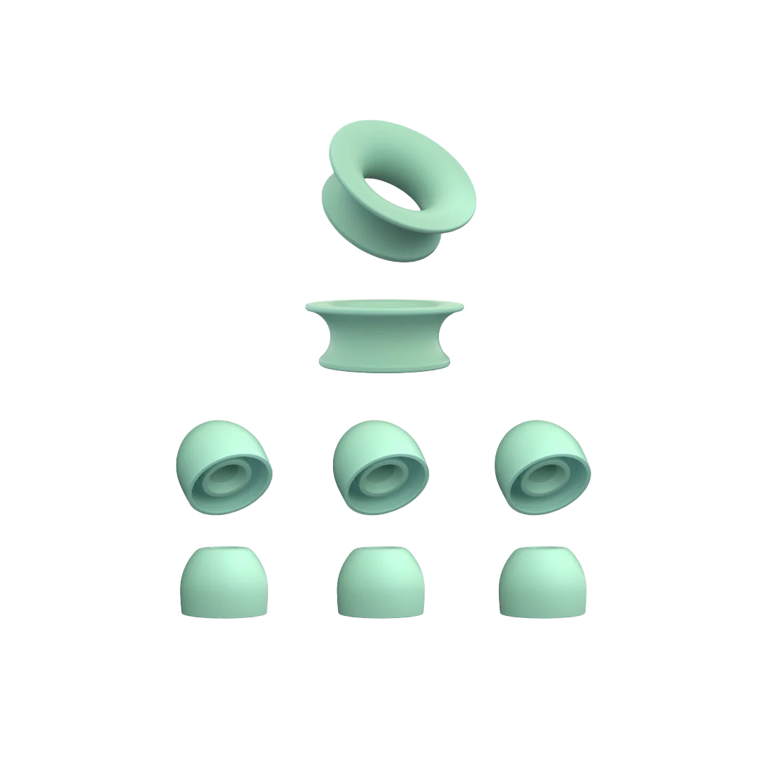 Quiet 1 Ear Tips + Loop Mute